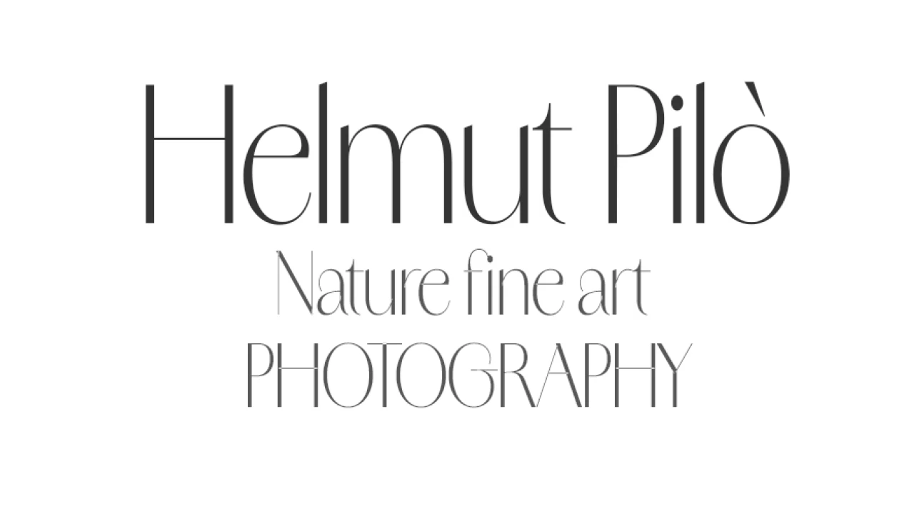 Helmut Pilò